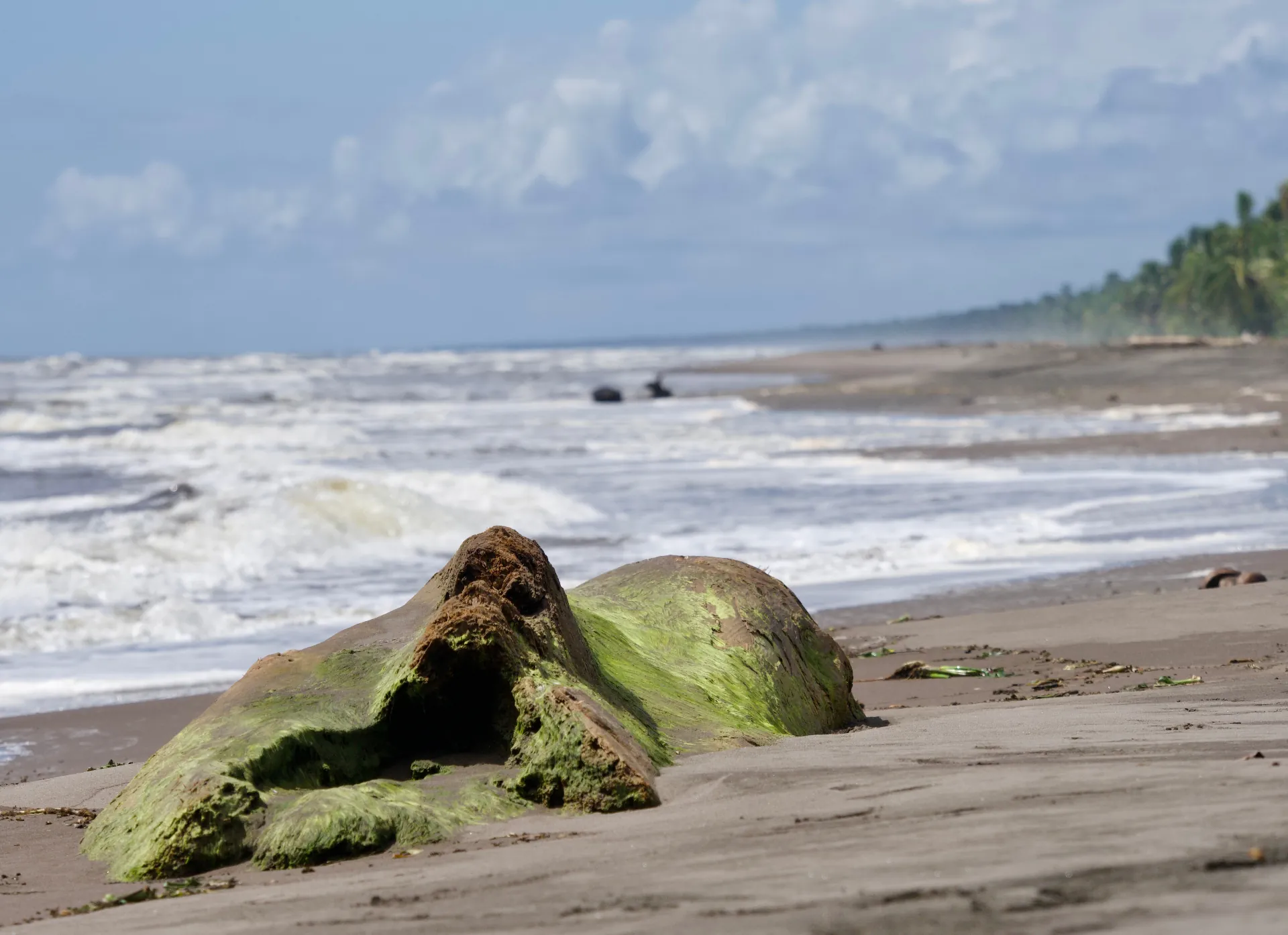 Shared Boat Transport — Tortuguero, Costa Rica