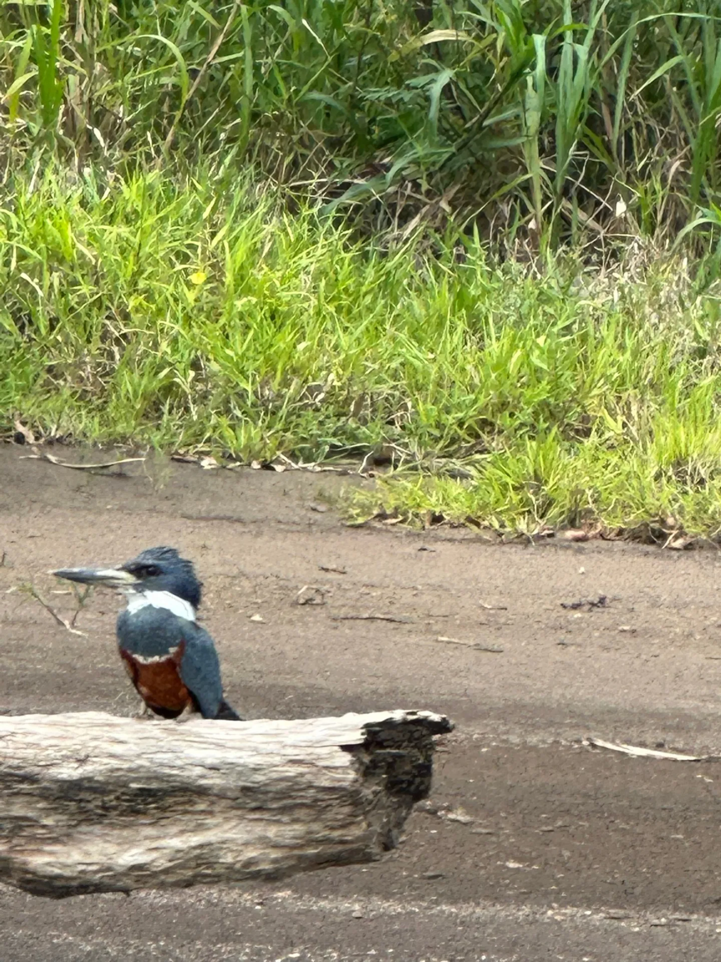 Book Hotel — Tortuguero, Costa Rica