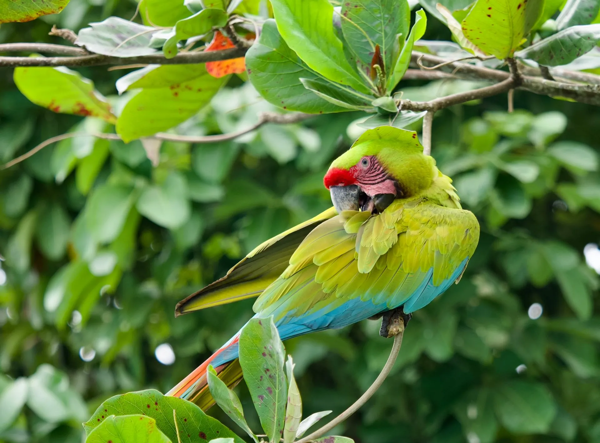 Guided Tours — Tortuguero, Costa Rica