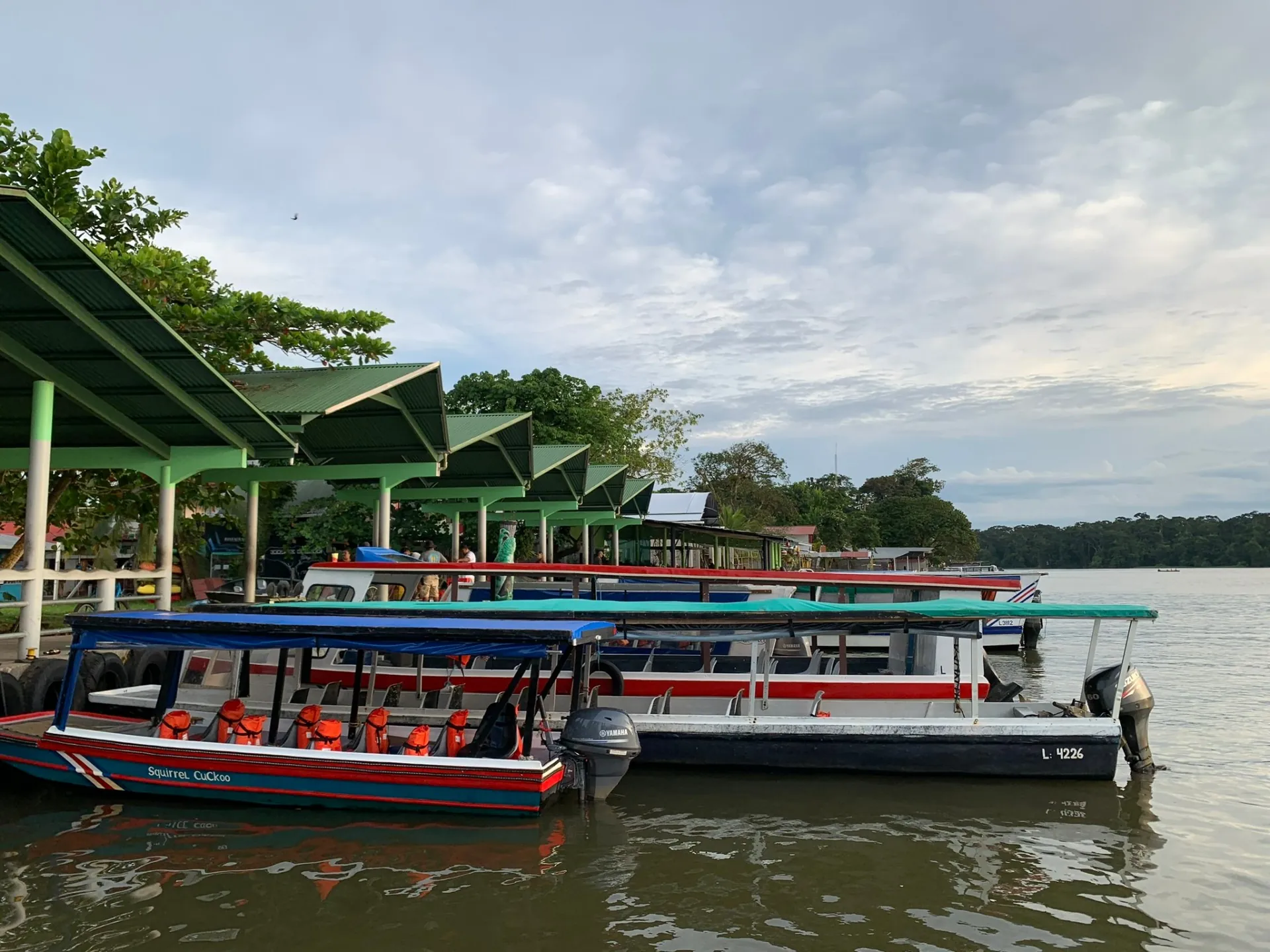 Boats moored at the Tortuguero village dock on the canal